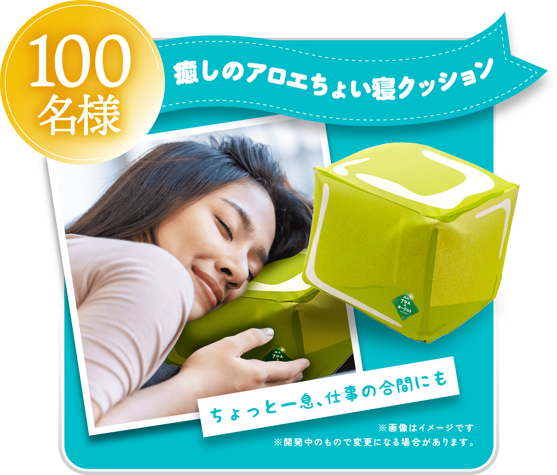 100名様 癒しのアロエちょい寝クッション